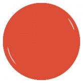 Wild Orange